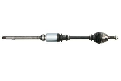 Drive Shaft PASCAL G2C006PC