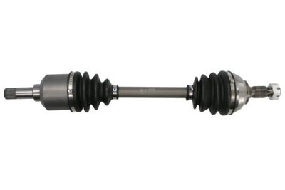 Drive Shaft PASCAL G2C009PC