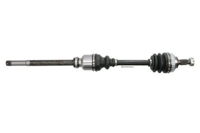 Drive Shaft PASCAL G2C012PC