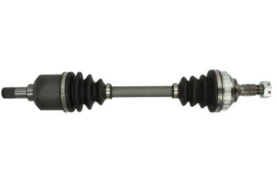 Drive Shaft PASCAL G2C013PC