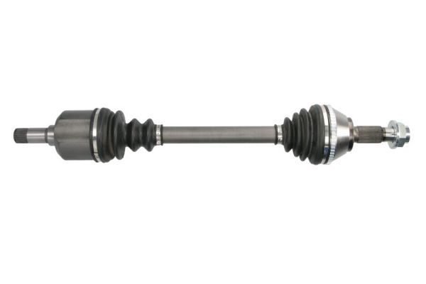 PASCAL G2C019PC Drive Shaft