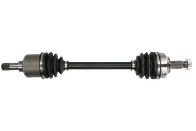 Drive Shaft PASCAL G2C021PC