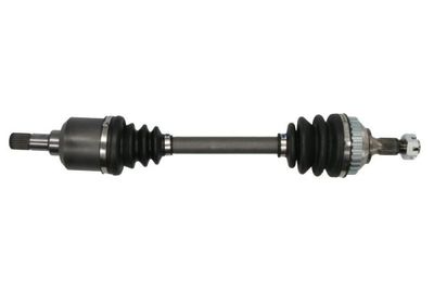 Drive Shaft PASCAL G2C039PC