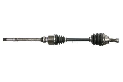 Drive Shaft PASCAL G2C042PC