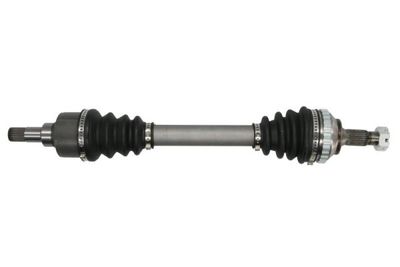 Drive Shaft PASCAL G2C043PC