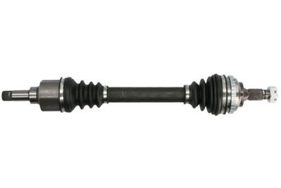 Drive Shaft PASCAL G2C046PC