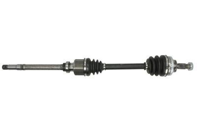 Drive Shaft PASCAL G2C047PC
