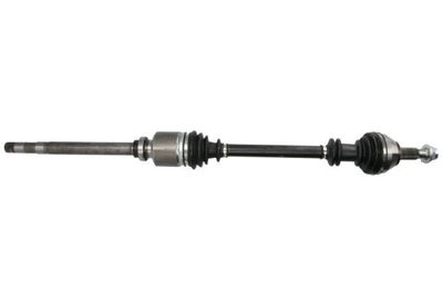 Drive Shaft PASCAL G2C049PC