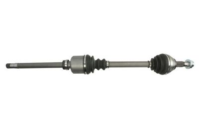 Drive Shaft PASCAL G2C051PC