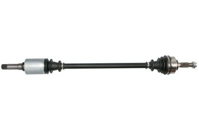 Drive Shaft PASCAL G2C058PC
