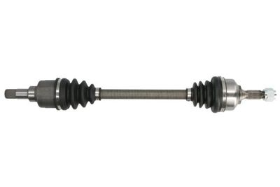 Drive Shaft PASCAL G2C059PC