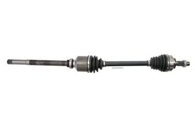 Drive Shaft PASCAL G2C067PC