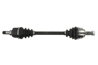 Drive Shaft PASCAL G2C071PC