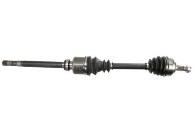 Drive Shaft PASCAL G2C073PC