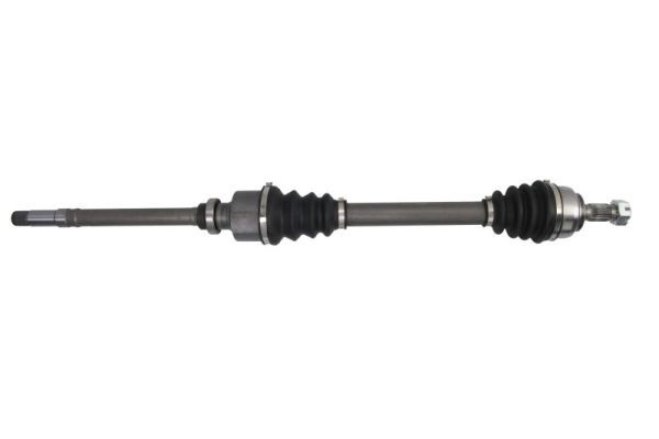PASCAL G2C077PC Drive Shaft