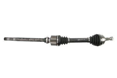 Drive Shaft PASCAL G2C078PC