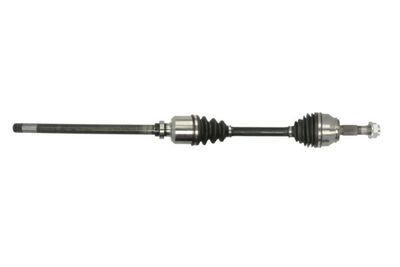 Drive Shaft PASCAL G2C081PC