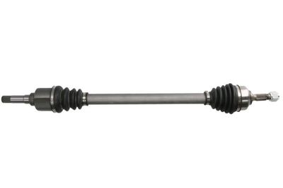 Drive Shaft PASCAL G2C089PC