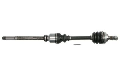 Drive Shaft PASCAL G2C105PC
