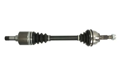 Drive Shaft PASCAL G2C113PC