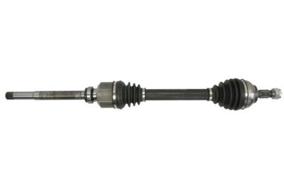 Drive Shaft PASCAL G2C114PC