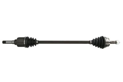 Drive Shaft PASCAL G2C123PC