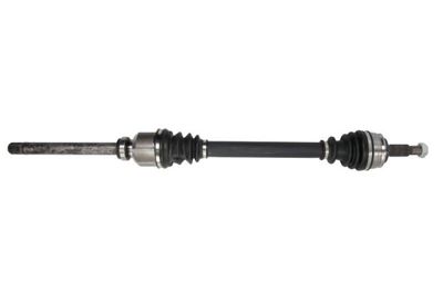 Drive Shaft PASCAL G2C137PC