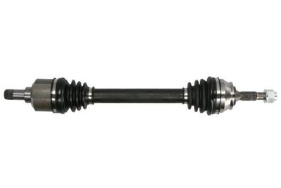 Drive Shaft PASCAL G2C141PC