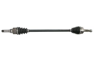 Drive Shaft PASCAL G2C142PC