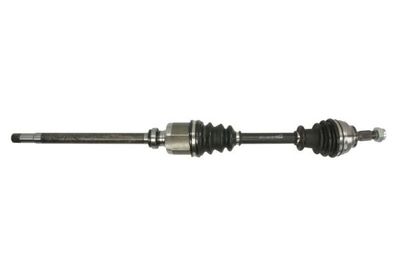 Drive Shaft PASCAL G2C143PC