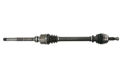 Drive Shaft PASCAL G2C159PC