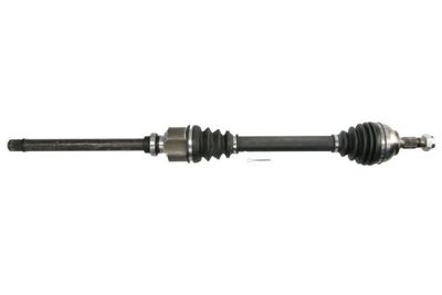 Drive Shaft PASCAL G2C160PC