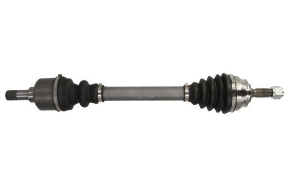 PASCAL G2C161PC Drive Shaft