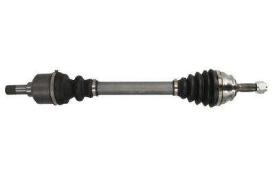 Drive Shaft PASCAL G2C161PC