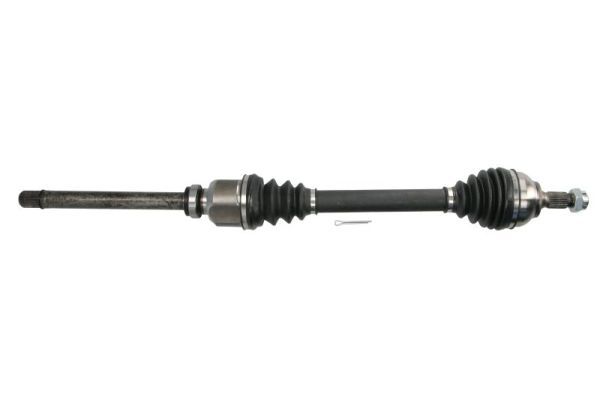 PASCAL G2C166PC Drive Shaft