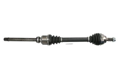 Drive Shaft PASCAL G2C166PC
