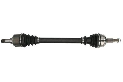Drive Shaft PASCAL G2C169PC