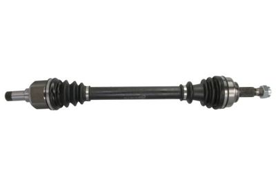 Drive Shaft PASCAL G2C170PC