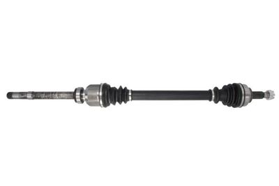 Drive Shaft PASCAL G2C171PC