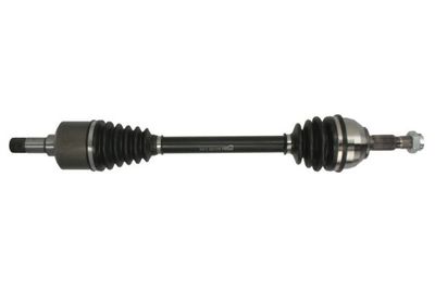 Drive Shaft PASCAL G2C173PC