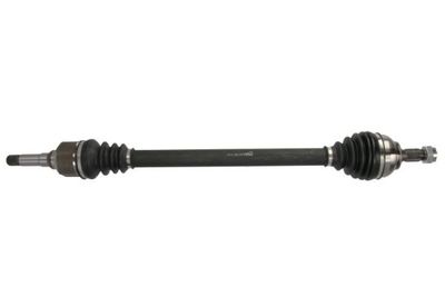 Drive Shaft PASCAL G2C174PC
