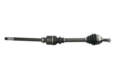 Drive Shaft PASCAL G2C178PC