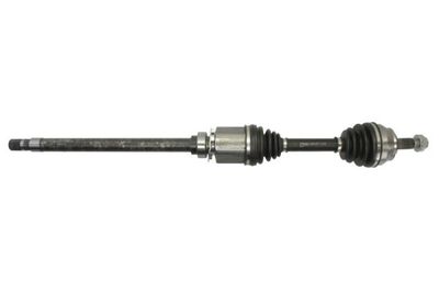 Drive Shaft PASCAL G2D012PC