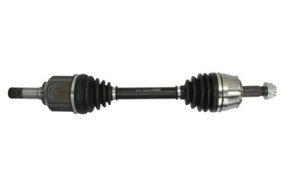 Drive Shaft PASCAL G2D013PC