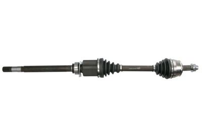Drive Shaft PASCAL G2D014PC