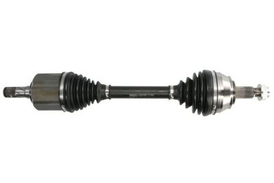 Drive Shaft PASCAL G2D019PC