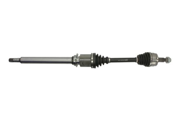 PASCAL G2D022PC Drive Shaft