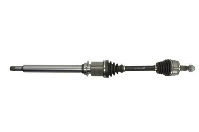 Drive Shaft PASCAL G2D022PC