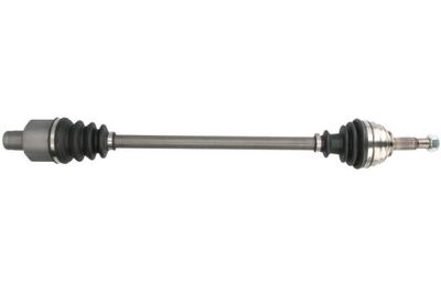 Drive Shaft PASCAL G2E006PC