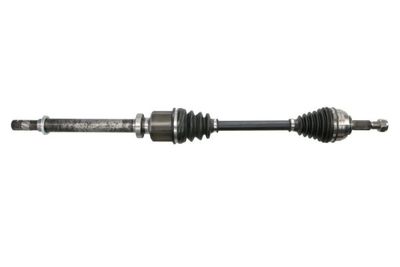 Drive Shaft PASCAL G2E008PC